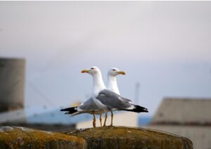 50代が定期預金を始めるためにどれくらいの資金が必要ですか？